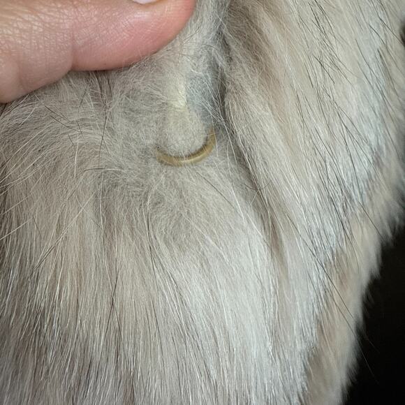 Vintage SAGA Fox Fur Coat Beige Blonde Made in Korea Size 8 Genuine Real Fur - Picture 5 of 16